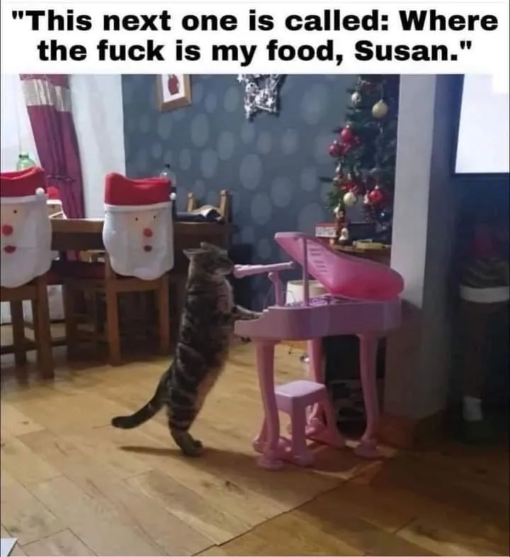 A tabby cat stands upright on its hind legs, pawing at a pink toy piano in a living room decorated for Christmas. In the…