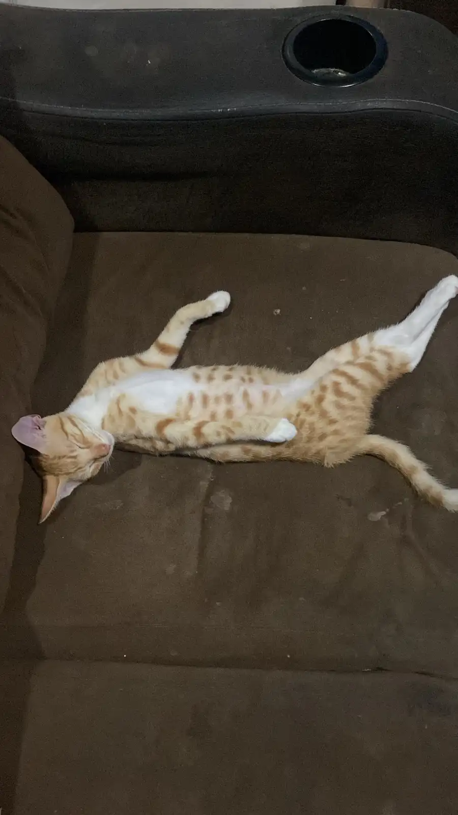 An orange and white tabby cat is lying on its back on a brown couch, legs splayed out, appearing deeply relaxed or asleep…