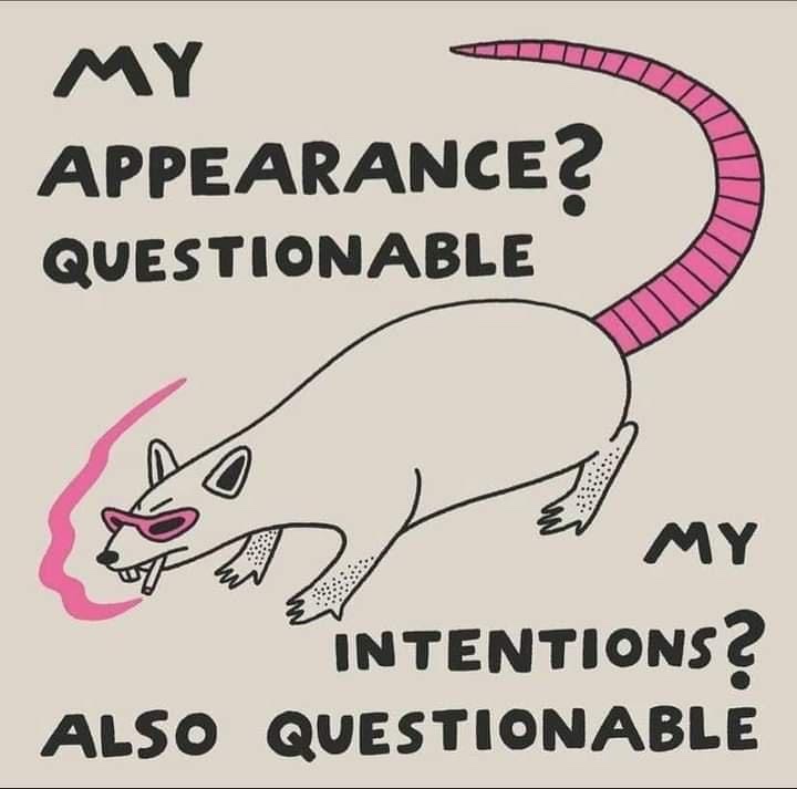 A cartoon illustration of a rat wearing pink sunglasses and exhaling pink smoke, with a long pink segmented tail. Text…