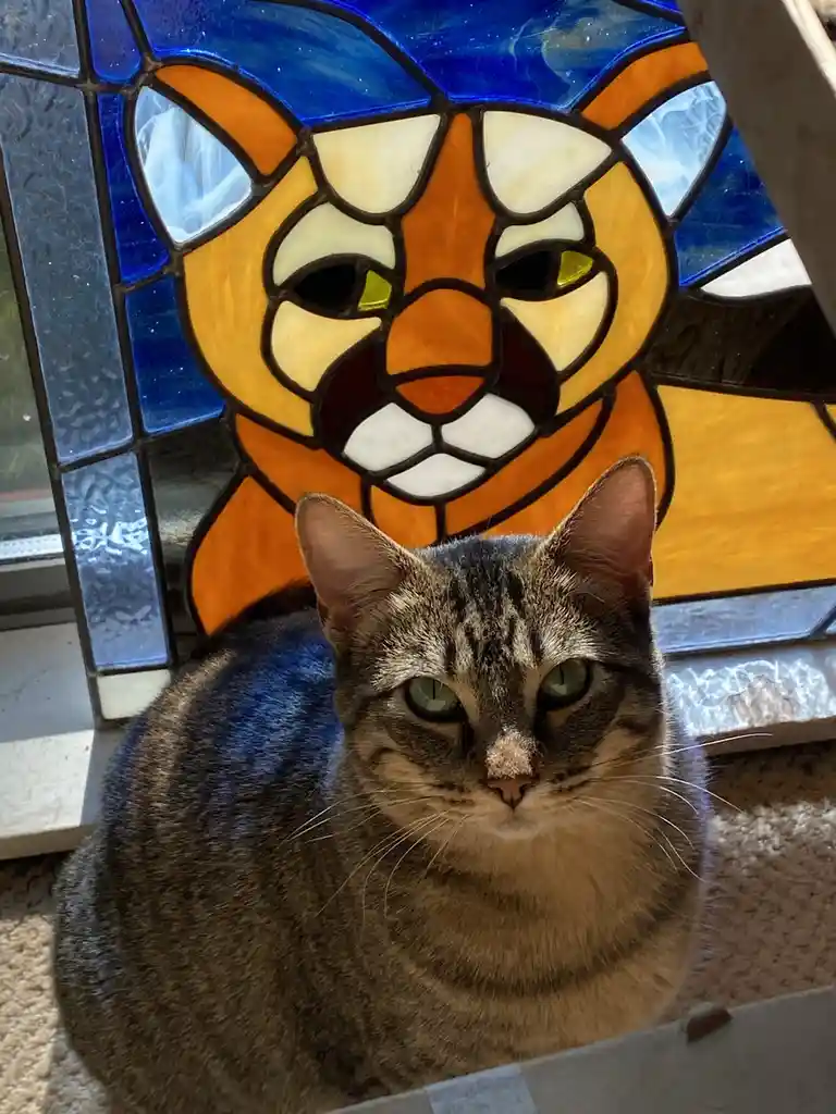 A real tabby cat with green eyes sits in front of a stained glass window depicting a stylized tiger face. The cat stares…