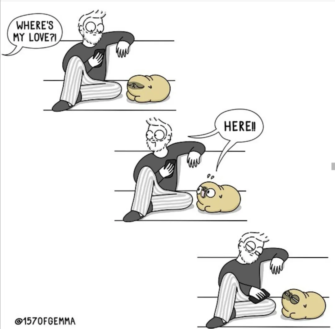A three-panel comic shows a man sitting on stairs holding a phone, asking 'WHERE'S MY LOVE?!' as a sleeping potato-like…