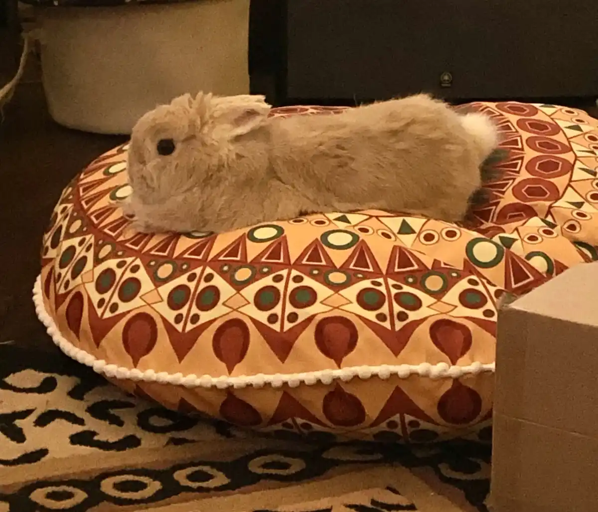A fluffy, light-brown rabbit is lying stretched out on its side atop a large, round, patterned pet bed with geometric…