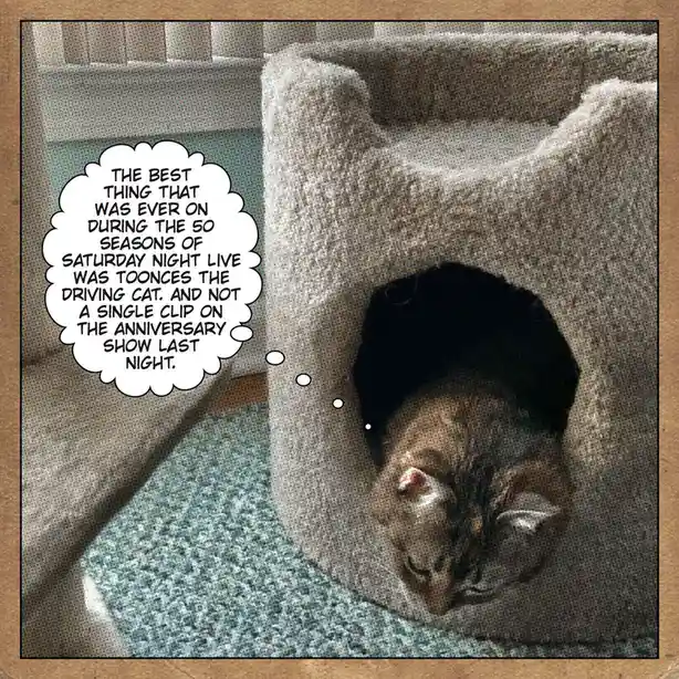 A cat with one eye appearing red and swollen is peeking out from a beige cat bed, with a thought bubble above it containing…
