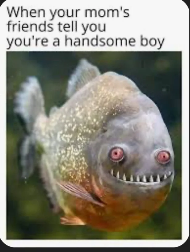 Memes Featuring the Most Handsome Boys Around