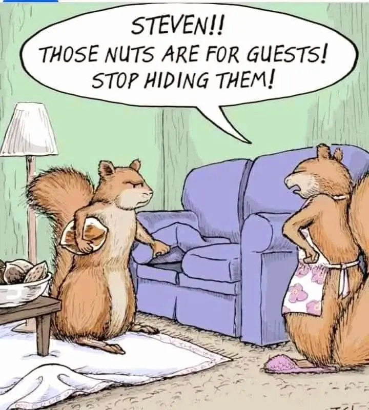 A cartoon depicts two anthropomorphic squirrels in a living room. One squirrel, wearing a floral apron and pink slippers…
