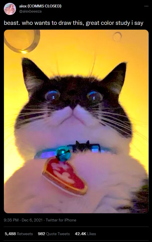 A close-up photo of a black-and-white cat with wide, glowing blue eyes, wearing a blue collar with a red heart-shaped tag…