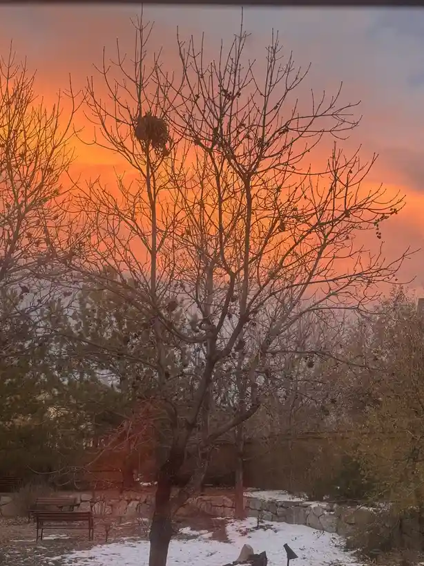 A bare winter tree stands against a vibrant orange and pink sunset sky, with patches of snow on the ground and a park bench…