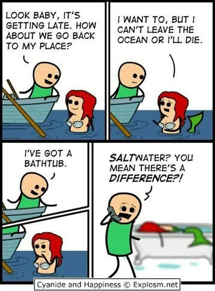 A four-panel comic strip shows a man in a boat asking a mermaid to go back to his place. She refuses, saying she'll die if…