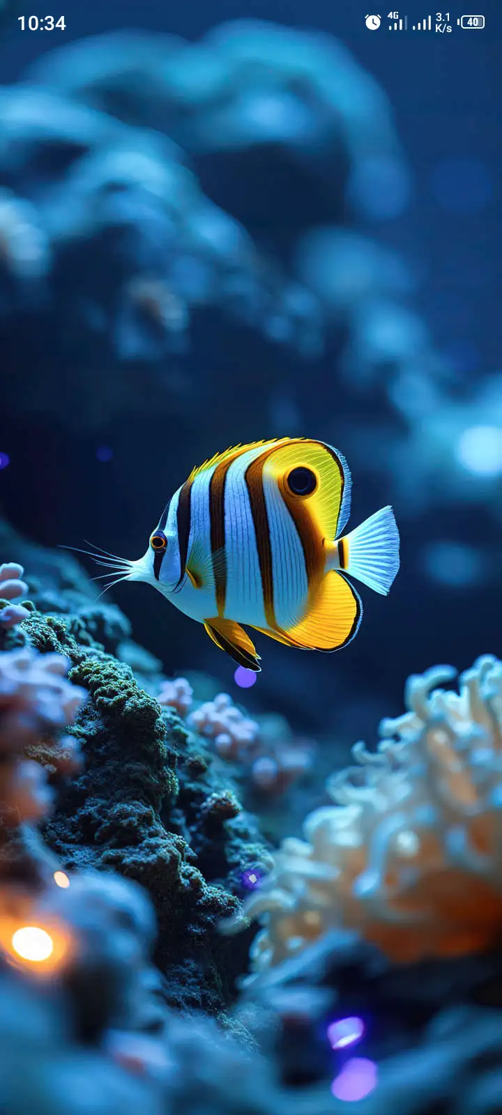 A vibrant, striped tropical fish swims near coral in a blue underwater scene, overlaid with the text 'i'm not lazy, i'm just…