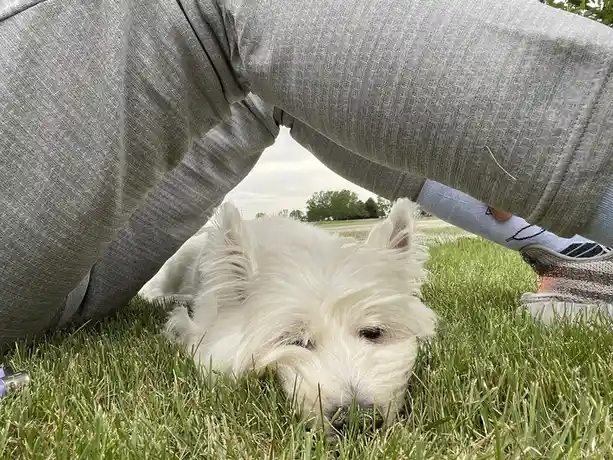 Lily Bella, my little angel