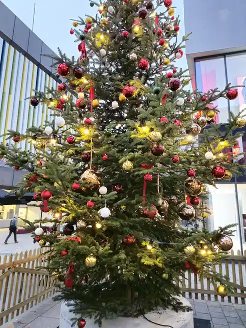 A large, decorated outdoor Christmas tree adorned with red, gold, and white ornaments and string lights stands in a public…
