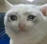 A close-up of a white cat with large, watery eyes and a slightly downturned mouth, giving an expression of sadness or being…