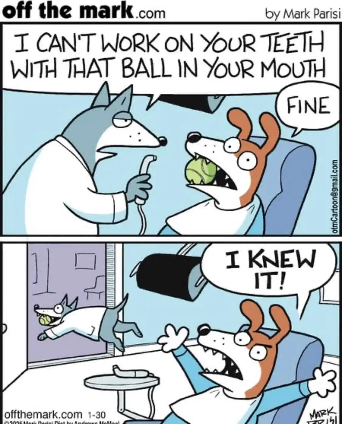 A two-panel cartoon shows a dog with a tennis ball in its mouth at a dentist's office. The dentist, a wolf in a white coat…