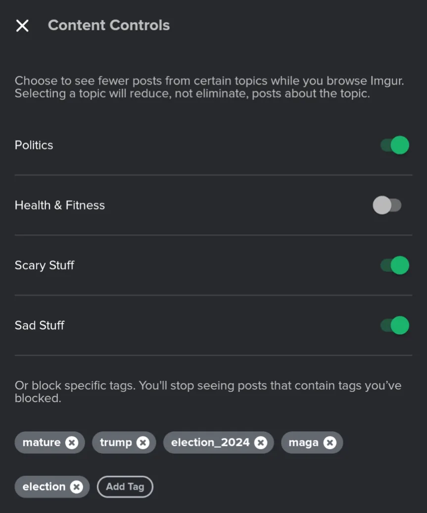 A screenshot of Imgur's Content Controls settings shows toggles for 'Politics', 'Health & Fitness', 'Scary Stuff', and 'Sad…