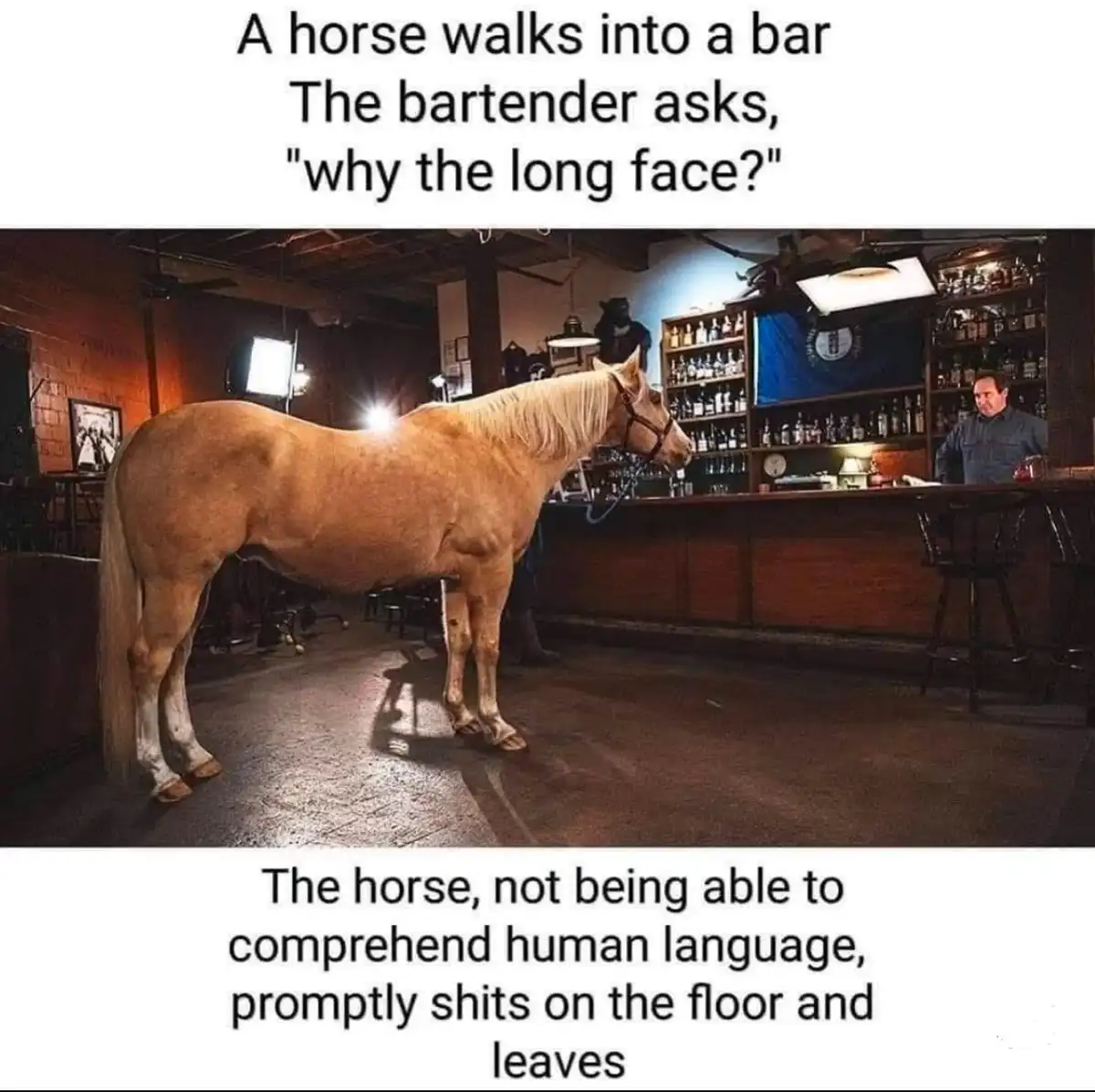 A light-colored horse stands at the end of a bar, facing a bartender behind the counter. The text above reads 'A horse walks…