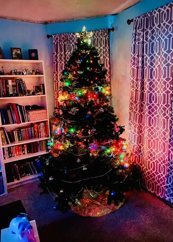 A brightly lit, decorated christmas tree stands in a corner of a room with patterned curtains and a bookshelf filled with…