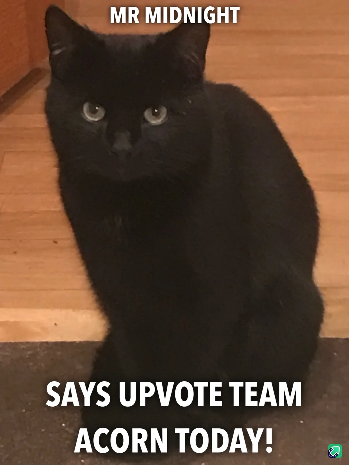 The Mysterious Mr. Midnight