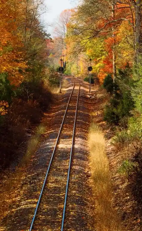 A scenic autumn photo shows railroad tracks curving into the distance through a forest with vibrant orange, yellow, and…