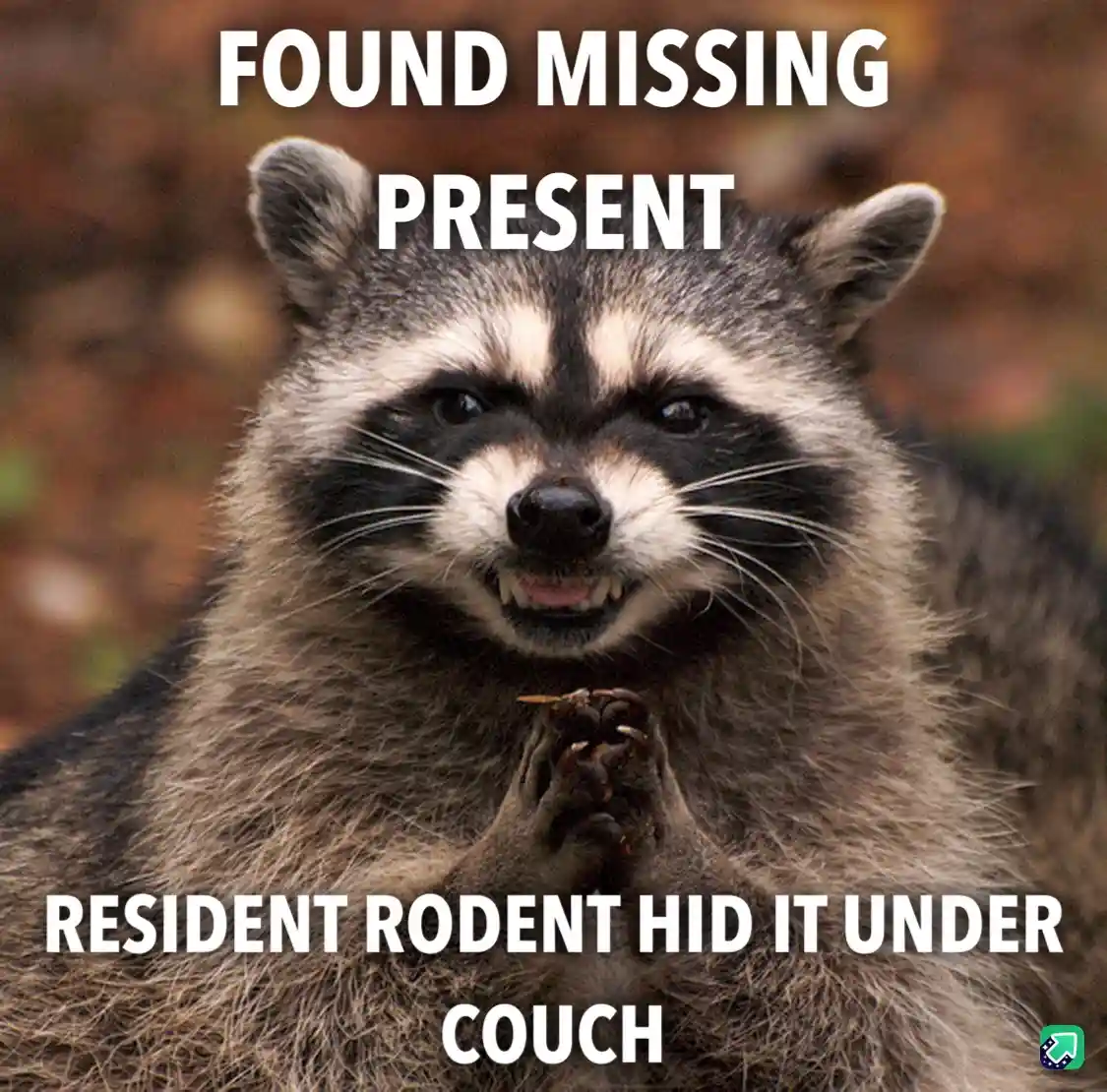 The search is on: Lost and Found Adventures