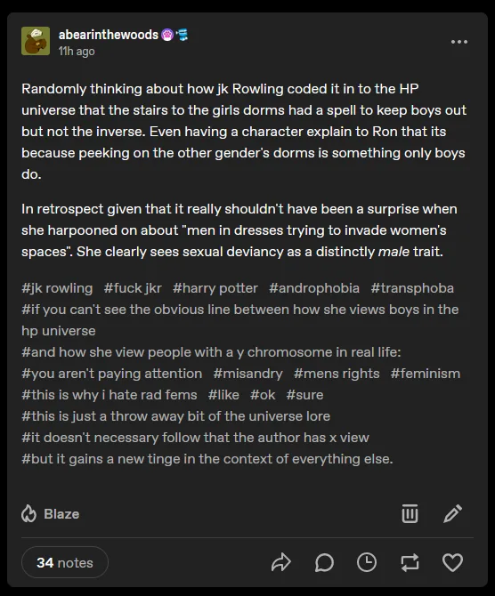 A screenshot of a social media post by user 'abeartinthewoods' discussing how J.K. Rowling's Harry Potter universe features…