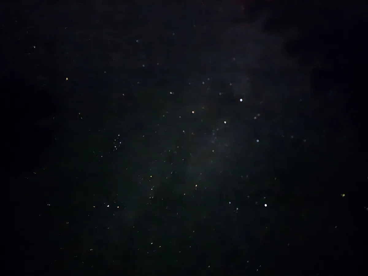 A dark, blurry image showing numerous small, scattered points of light against a black background, resembling distant stars…