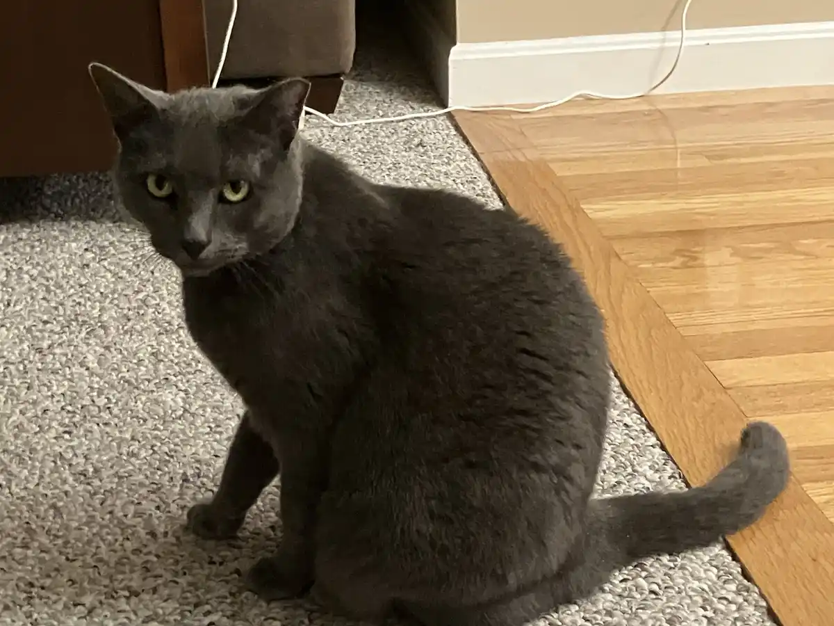 Your Daily Dose of Snickering: Pic #115