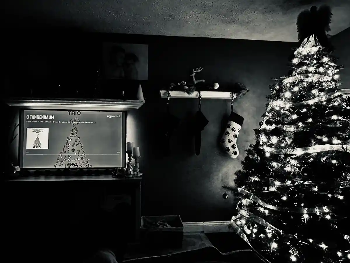 Feeling the Christmas Spirit Stronger Than Ever This Year