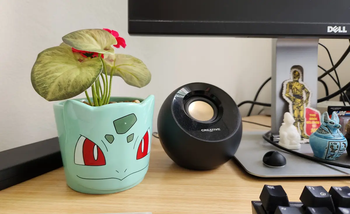 A light blue ceramic plant pot shaped like the Pokémon Bulbasaur sits on a wooden desk, holding a real plant with large…