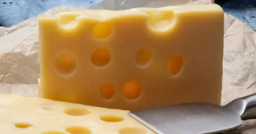 A quirky collection of cheeses: What a mix!