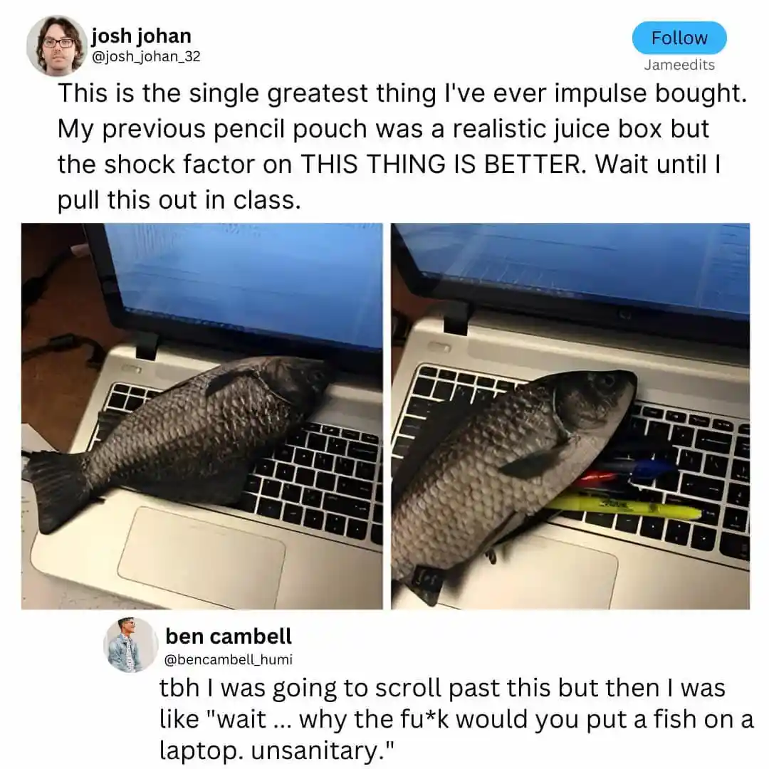 Two photos show a whole, dead fish resting on a laptop keyboard, with pens tucked under its body in the second image. The…