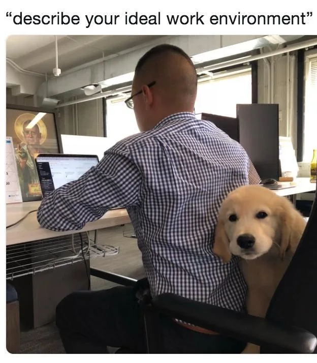 A man in a checkered shirt sits at a desk in an office, viewed from behind, with a small golden retriever puppy peeking out…