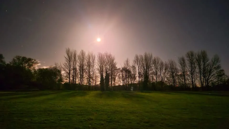 A serene night scene featuring a bright moon shining over a grassy field with silhouetted bare trees. The overlaid text…