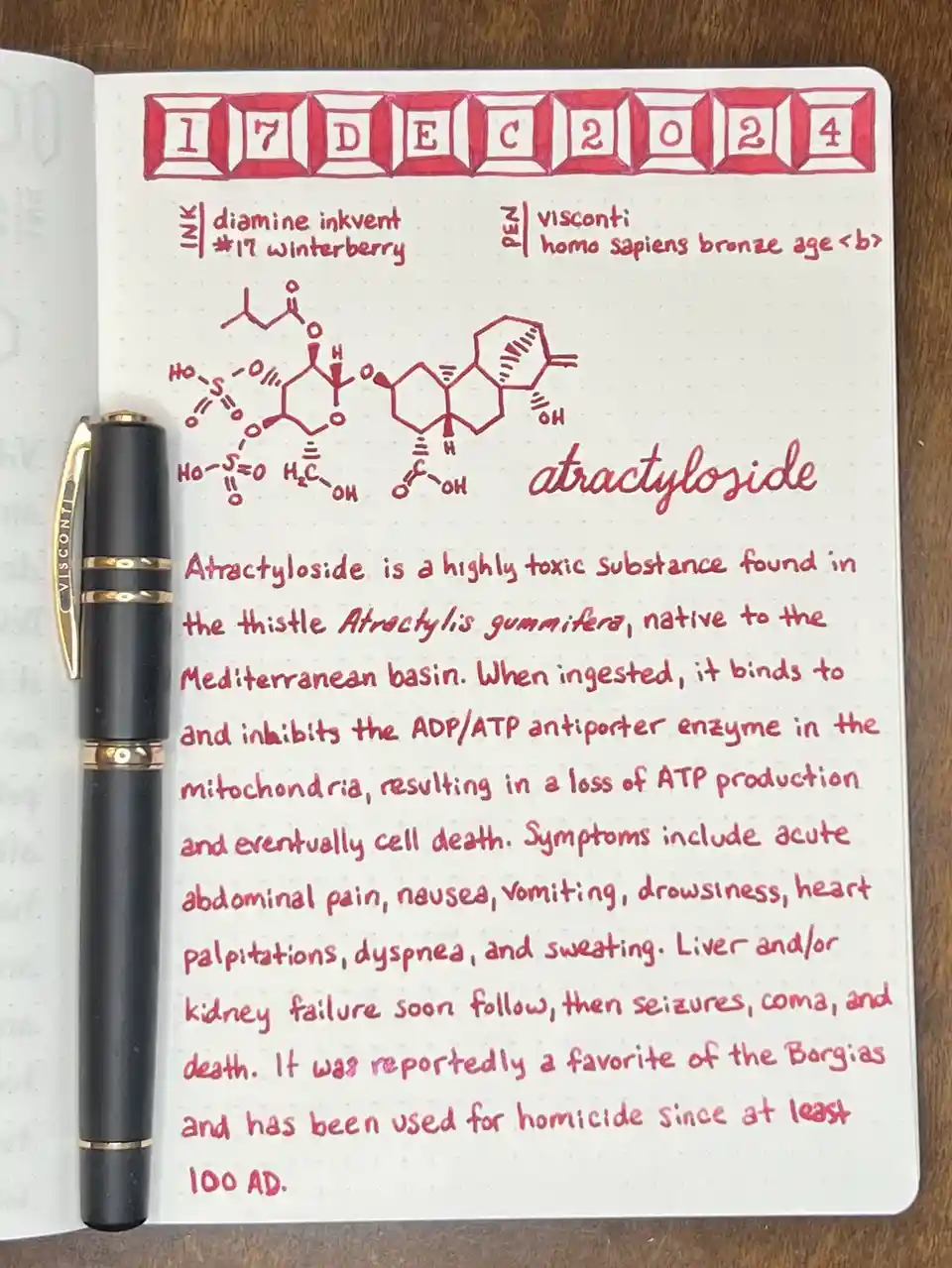 A notebook page dated 17 DEC 2024 shows a hand-drawn chemical structure labeled 'attractyloside' with detailed text…