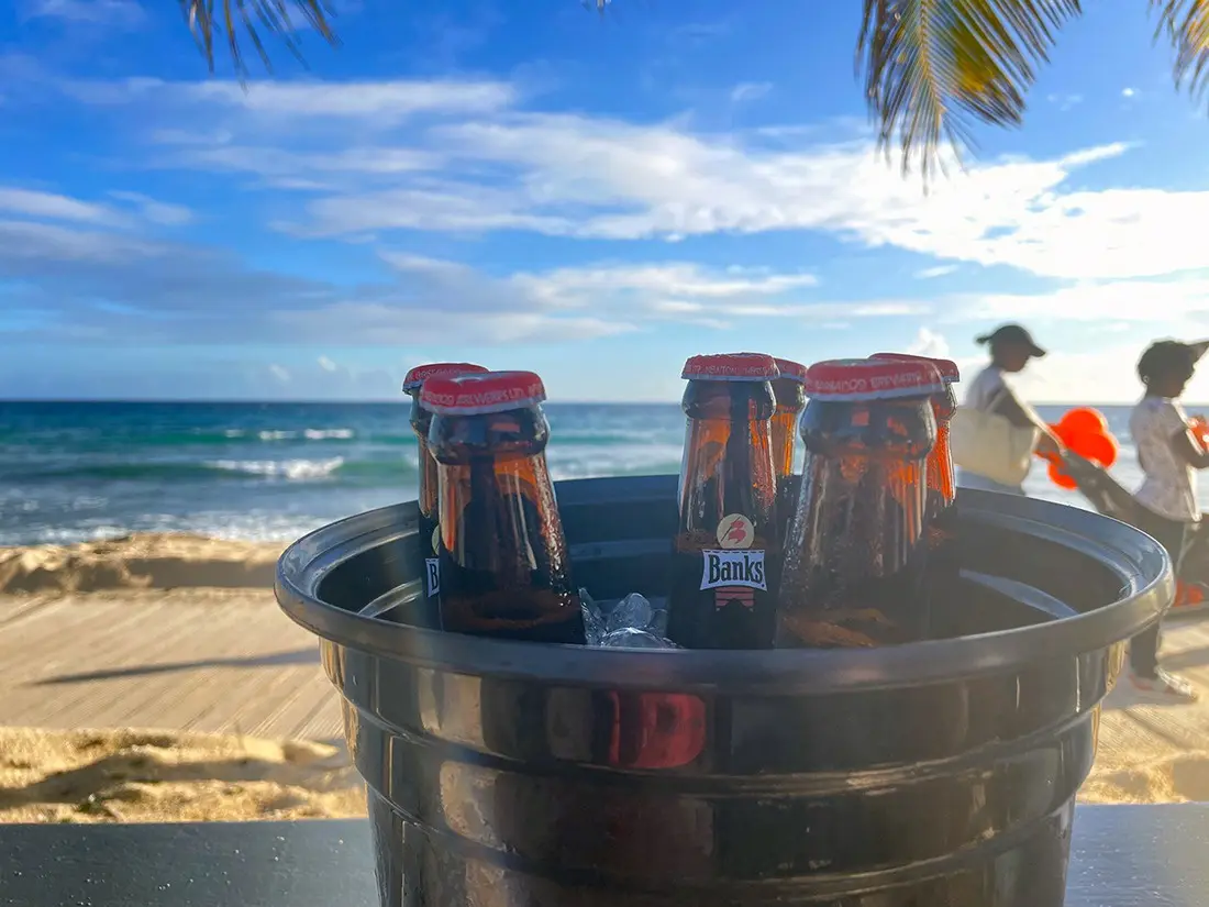 A black bucket filled with ice and several chilled Banks beer bottles sits on a beach table, with the ocean and palm trees…