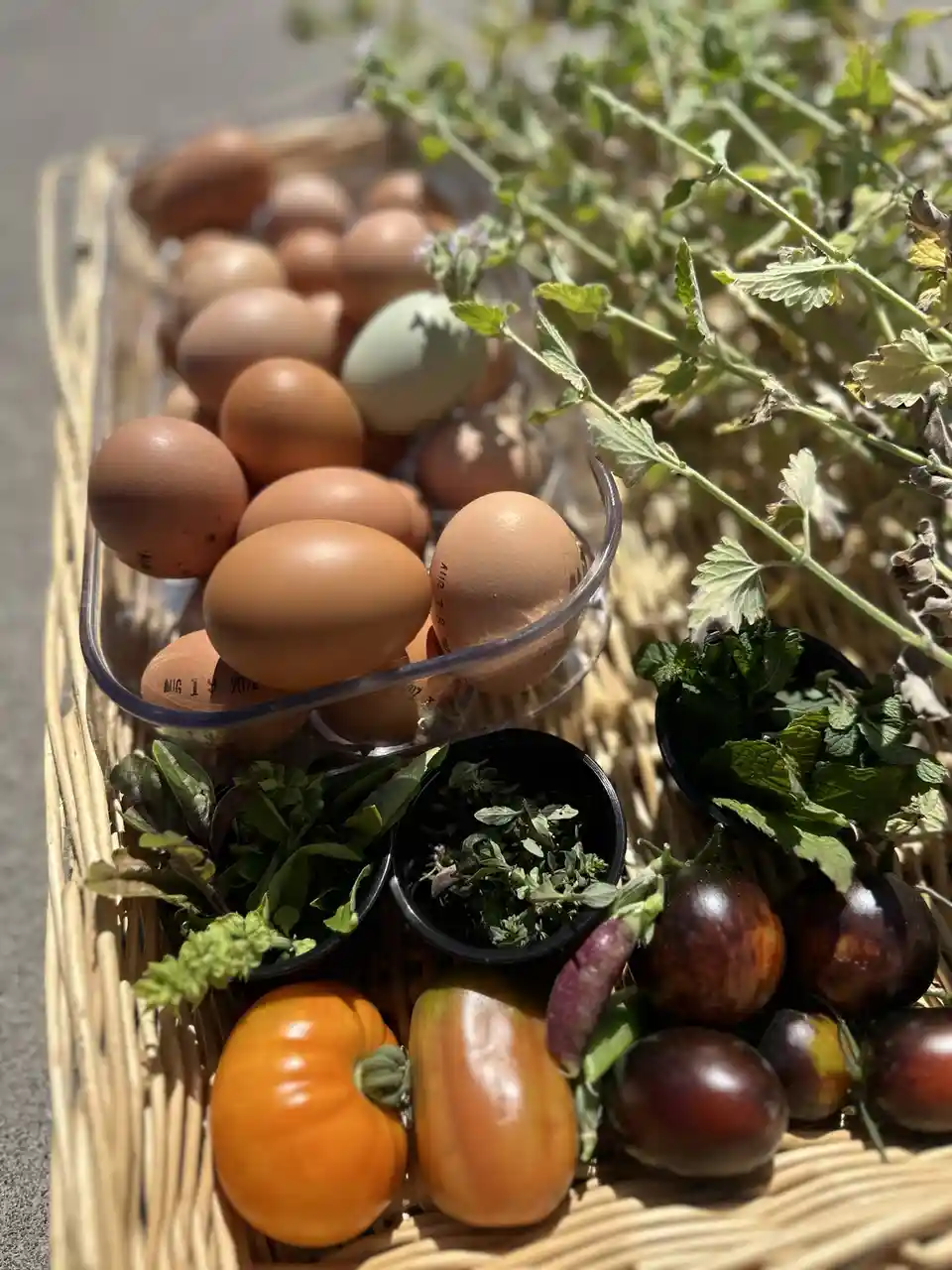 A wicker basket holds a clear container of brown and one pale green eggs, alongside small pots of fresh herbs, orange and…