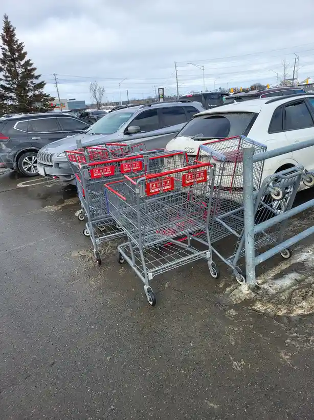 A row of Costco shopping carts sits in a muddy, snowy parking lot next to parked cars, with the text 'costco wholesale'…