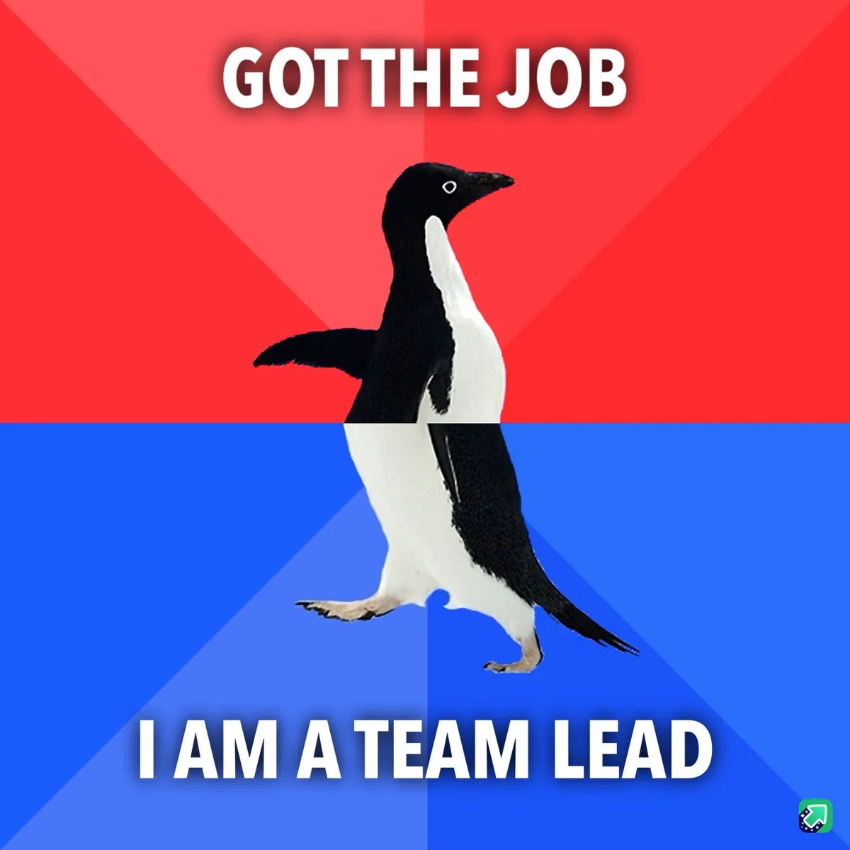 A penguin stands centered against a red and blue background, with the text 'GOT THE JOB' at the top and 'I AM A TEAM LEAD'…