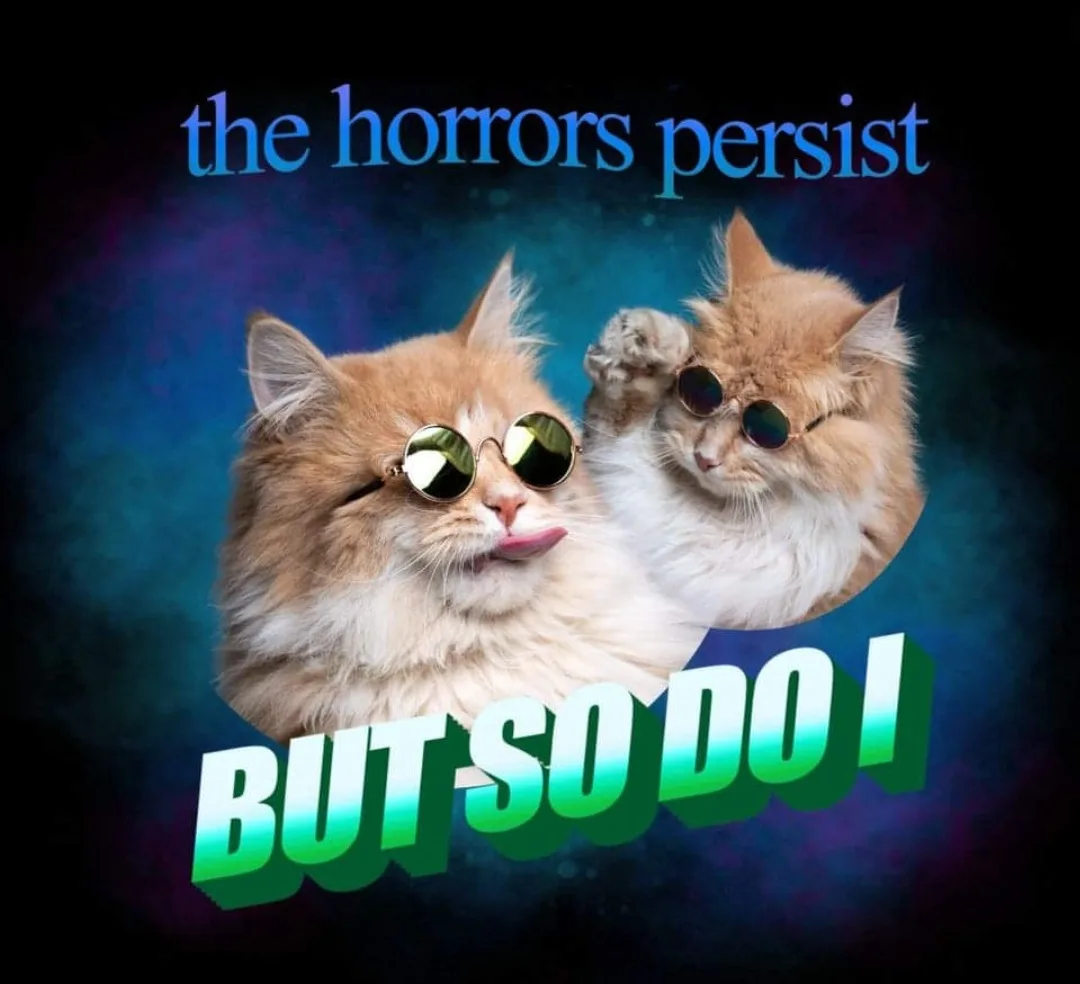 Two fluffy orange cats wearing round sunglasses are shown against a dark cosmic background. The cat in the foreground sticks…