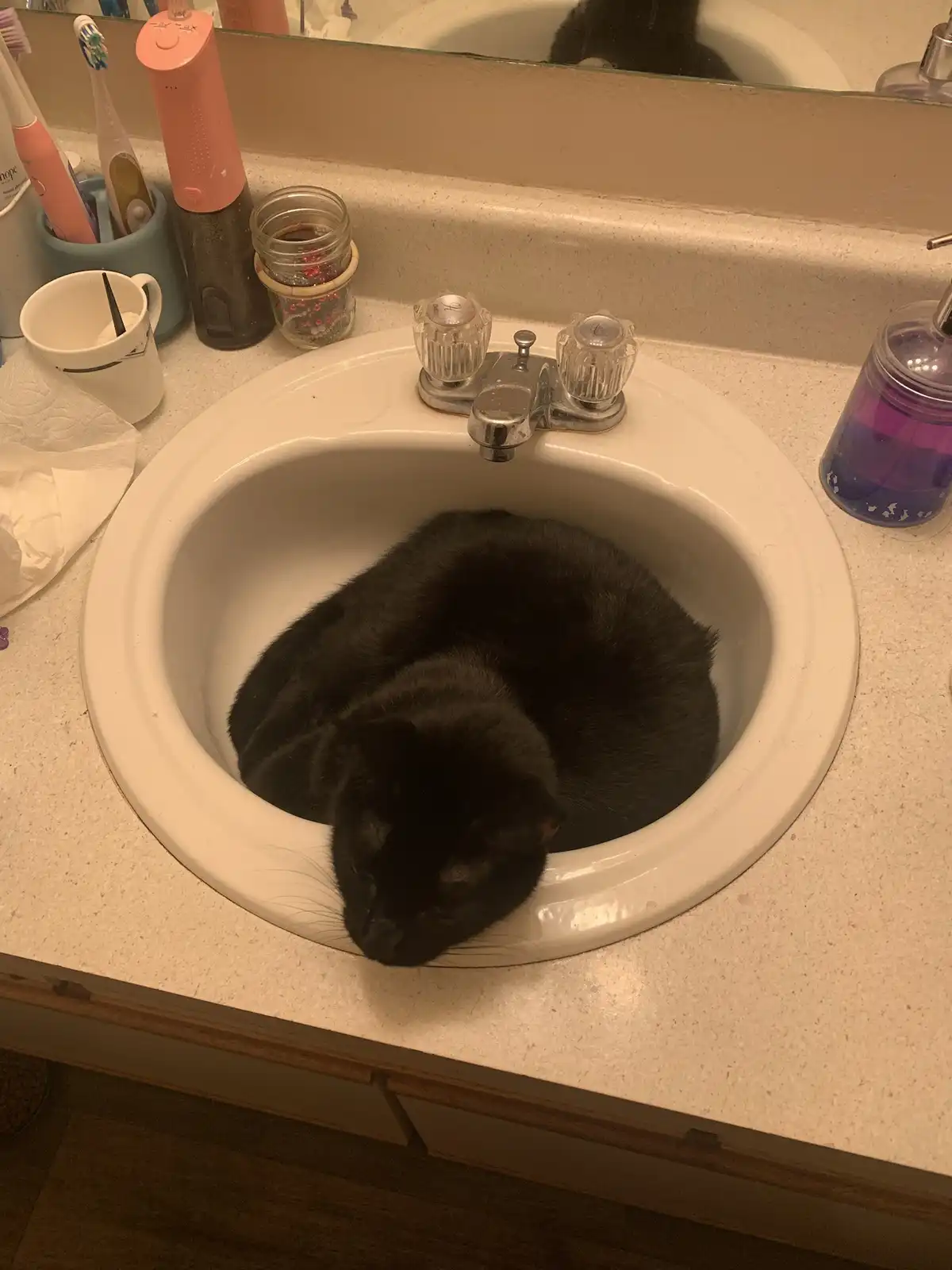 A black cat is curled up and sleeping inside a white bathroom sink, with its head resting on the rim. The sink is on a…