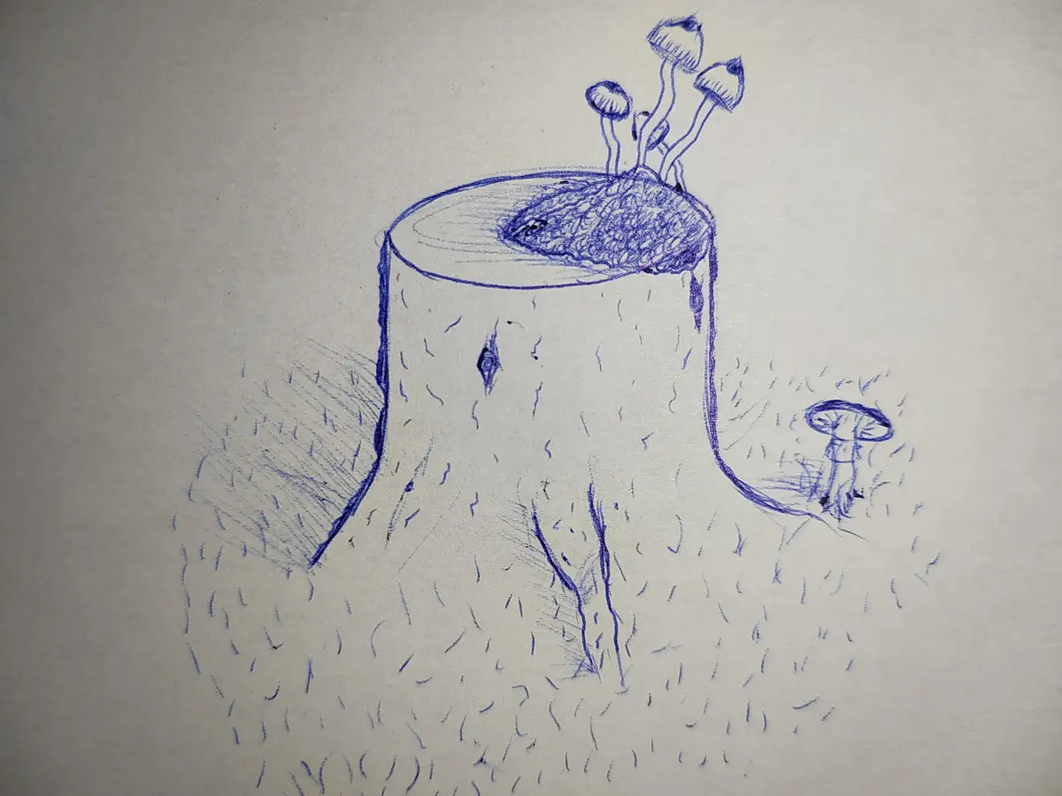 A blue ink sketch shows a tree stump with several mushrooms growing from its top and one nearby on the ground. The image has…