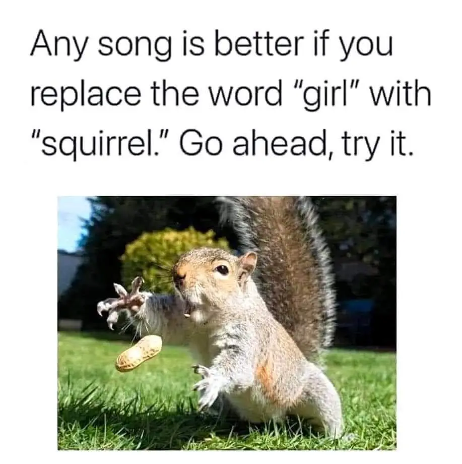 A squirrel is captured mid-action on a grassy lawn, reaching for a peanut with one paw extended while its tail is raised…