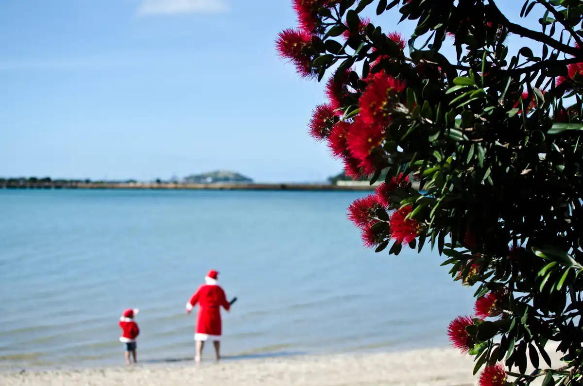 Sending Warm Christmas Wishes from New Zealand!