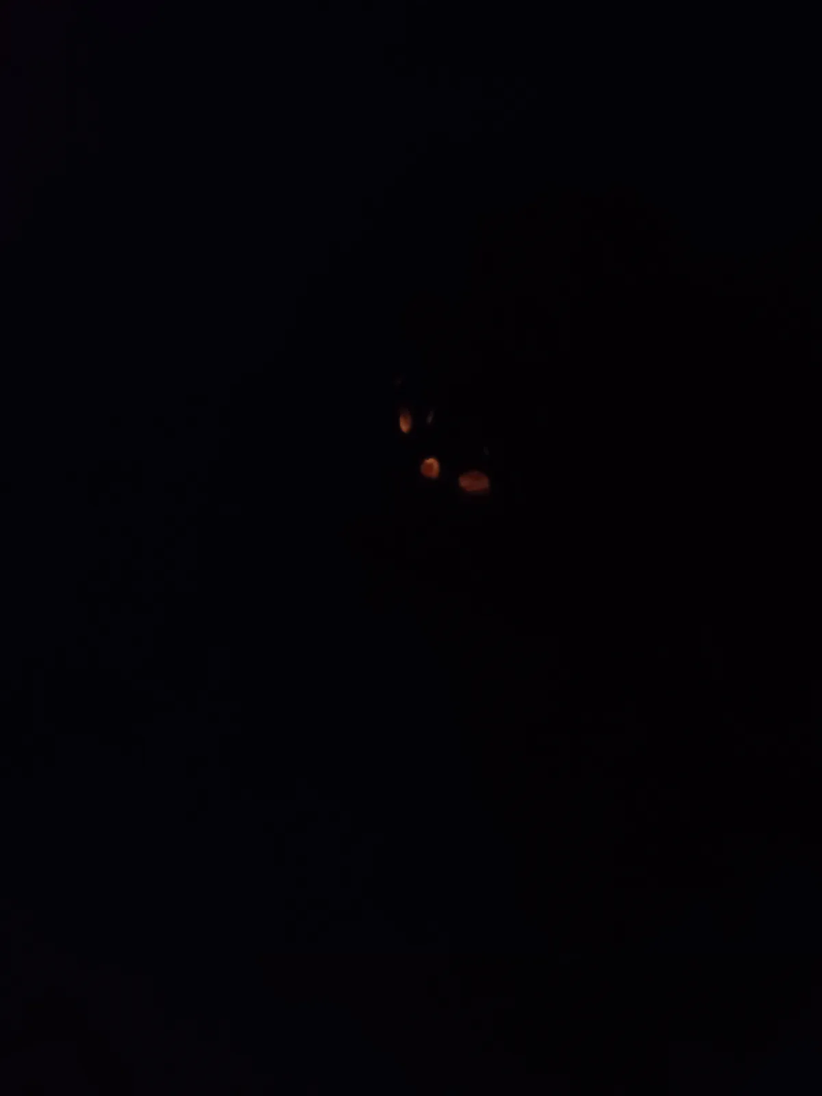 A dark image showing only three glowing orange eyes in the center, suggesting a creature lurking in the darkness. The…