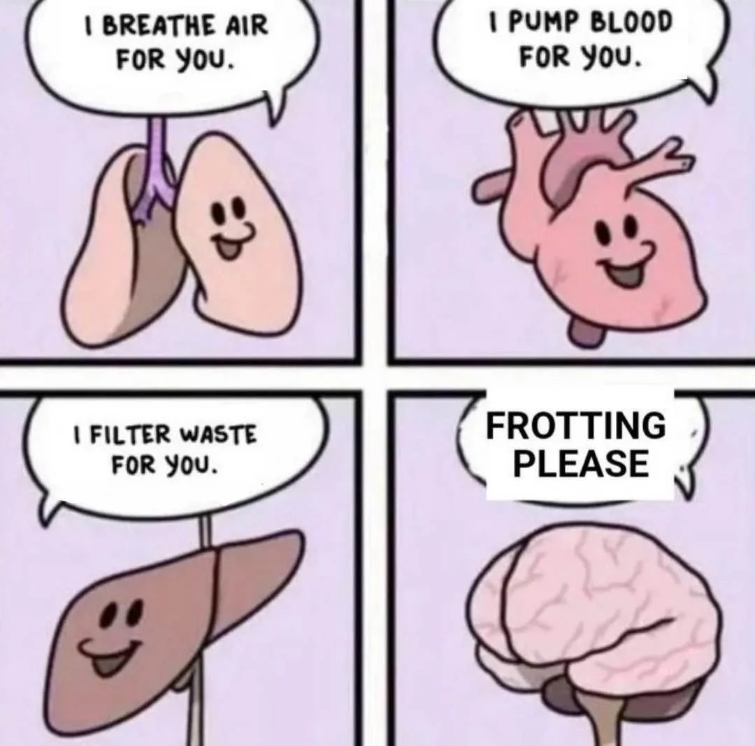 Hey Brain, Stop That Right Now!
