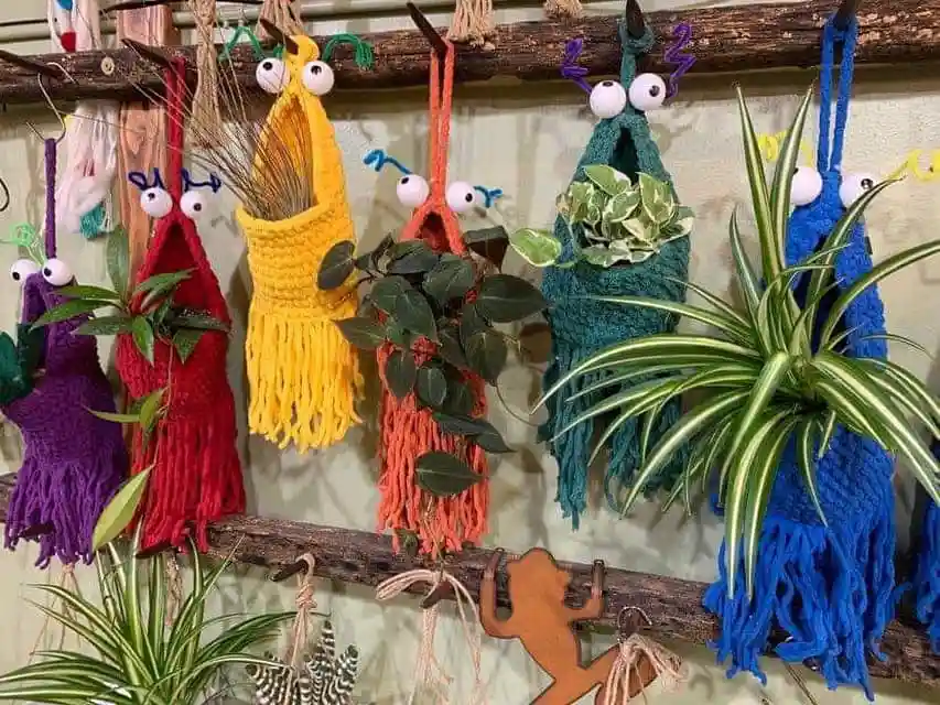 multiple colorful macrame plant hangers, each with googly eyes attached, hang from wooden branches. The hangers are in…