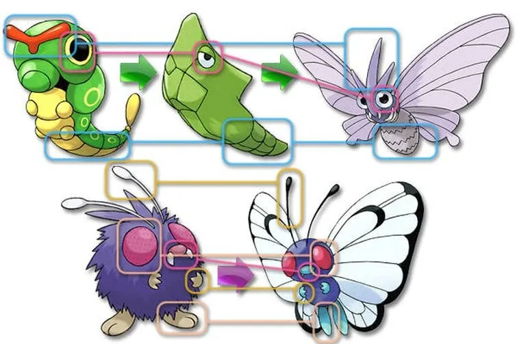 The image displays two Pokémon evolution chains side-by-side. The top chain shows Metapod evolving into Butterfree, then…