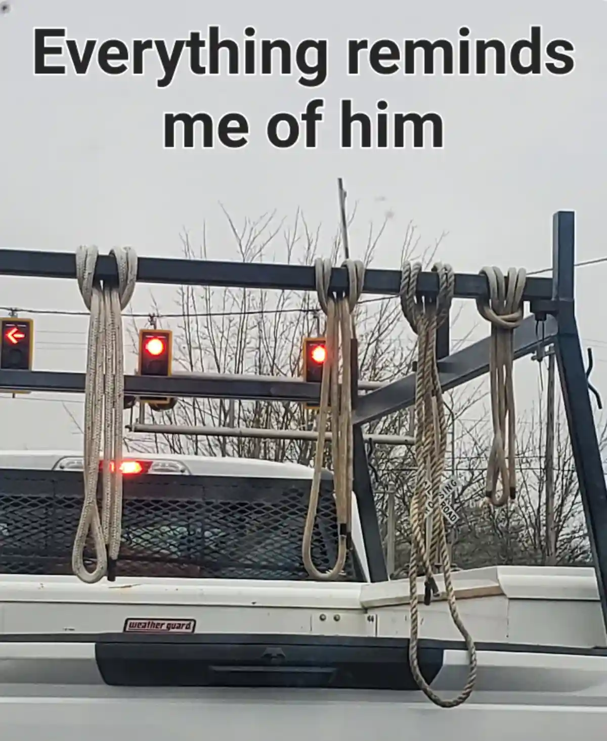 The image shows the rear of a white truck with a black metal rack on top, from which thick ropes hang down. In the…