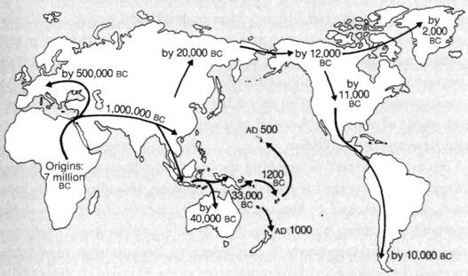 A world map showing migration routes and dates for early humans, with arrows indicating movement from Africa to other…