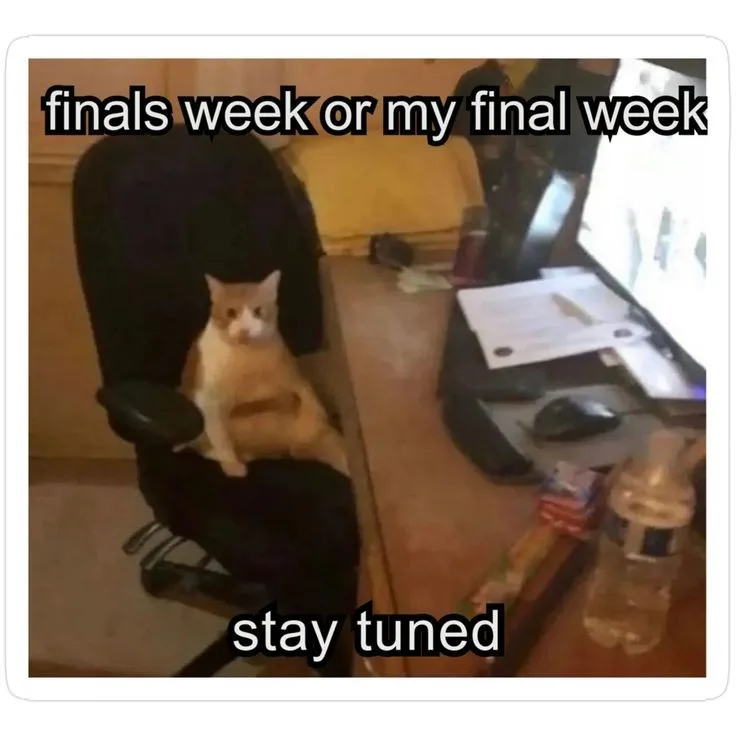 A light orange cat sits in a black office chair at a cluttered desk with a computer monitor, mouse, and water bottle. The…