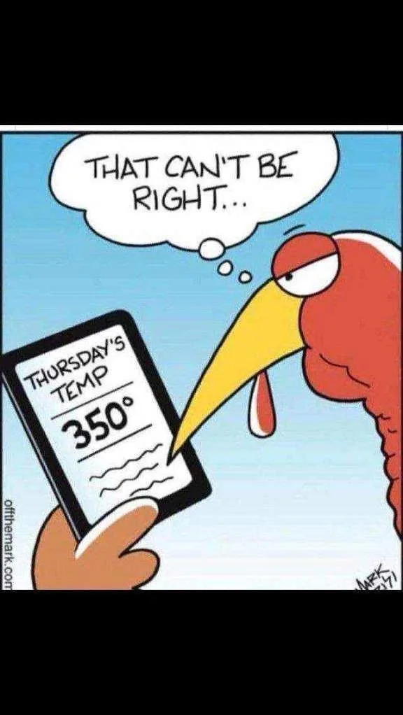 A cartoon turkey with a yellow beak and red body looks skeptically at a smartphone screen held by a human hand. The phone…